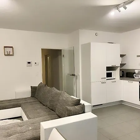 Magnifique Moderne Et Luxueux A Liege Apartment